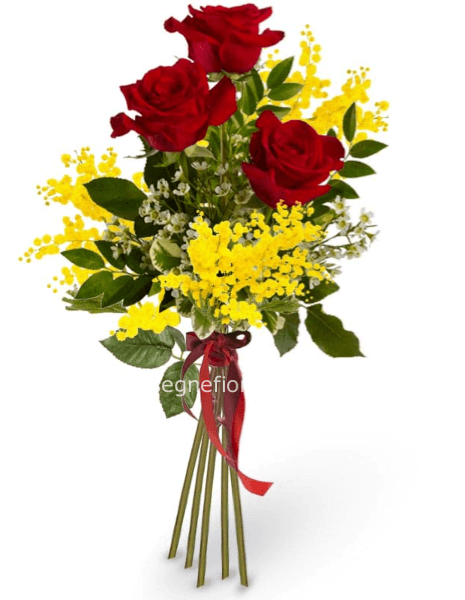 Mazzo di rose rosse con mimosa